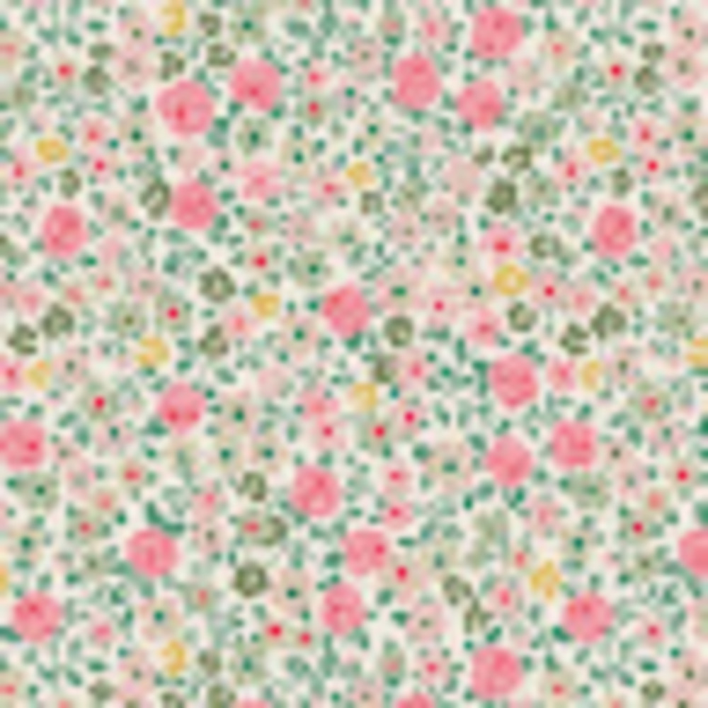 Meet your Posher, Lily